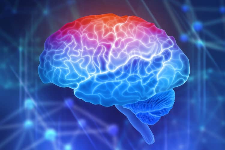 Colorful illustration of human brain with synapses represented in the background